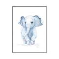 Picture of Baby Blue Elephant _GroupedProduct_Rectangle_Portrait_Mini_ _GroupedProduct_Rectangle_Portrait_Canvas_Framed_