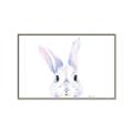 Picture of Peekaboo Bunny _GroupedProduct_Rectangle_Landscape_Mini_ _GroupedProduct_Rectangle_Landscape_Canvas_Framed_