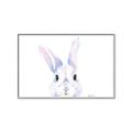 Picture of Peekaboo Bunny _GroupedProduct_Rectangle_Landscape_Mini_ _GroupedProduct_Rectangle_Landscape_Canvas_Framed_