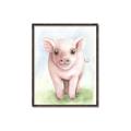 Picture of Farm Pig _GroupedProduct_Rectangle_Portrait_Mini_ _GroupedProduct_Rectangle_Portrait_Canvas_Framed_