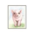 Picture of Farm Pig _GroupedProduct_Rectangle_Portrait_Mini_ _GroupedProduct_Rectangle_Portrait_Canvas_Framed_