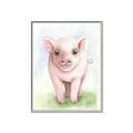 Picture of Farm Pig _GroupedProduct_Rectangle_Portrait_Mini_ _GroupedProduct_Rectangle_Portrait_Canvas_Framed_
