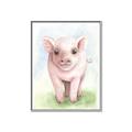 Picture of Farm Pig _GroupedProduct_Rectangle_Portrait_Mini_ _GroupedProduct_Rectangle_Portrait_Canvas_Framed_