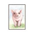 Picture of Farm Pig _GroupedProduct_Rectangle_Portrait_Mini_ _GroupedProduct_Rectangle_Portrait_Canvas_Framed_