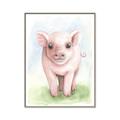 Picture of Farm Pig _GroupedProduct_Rectangle_Portrait_Mini_ _GroupedProduct_Rectangle_Portrait_Canvas_Framed_