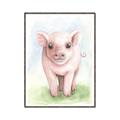 Picture of Farm Pig _GroupedProduct_Rectangle_Portrait_Mini_ _GroupedProduct_Rectangle_Portrait_Canvas_Framed_