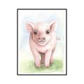 Picture of Farm Pig _GroupedProduct_Rectangle_Portrait_Mini_ _GroupedProduct_Rectangle_Portrait_Canvas_Framed_