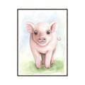 Picture of Farm Pig _GroupedProduct_Rectangle_Portrait_Mini_ _GroupedProduct_Rectangle_Portrait_Canvas_Framed_