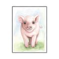 Picture of Farm Pig _GroupedProduct_Rectangle_Portrait_Mini_ _GroupedProduct_Rectangle_Portrait_Canvas_Framed_