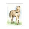 Picture of Farm Horse _GroupedProduct_Rectangle_Portrait_Mini_ _GroupedProduct_Rectangle_Portrait_Canvas_Framed_