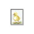 Picture of Farm Duck _GroupedProduct_Rectangle_Portrait_Mini_ _GroupedProduct_Rectangle_Portrait_Canvas_Framed_
