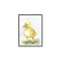 Picture of Farm Duck _GroupedProduct_Rectangle_Portrait_Mini_ _GroupedProduct_Rectangle_Portrait_Canvas_Framed_
