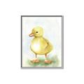 Picture of Farm Duck _GroupedProduct_Rectangle_Portrait_Mini_ _GroupedProduct_Rectangle_Portrait_Canvas_Framed_