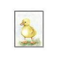 Picture of Farm Duck _GroupedProduct_Rectangle_Portrait_Mini_ _GroupedProduct_Rectangle_Portrait_Canvas_Framed_