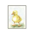 Picture of Farm Duck _GroupedProduct_Rectangle_Portrait_Mini_ _GroupedProduct_Rectangle_Portrait_Canvas_Framed_