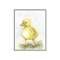 Picture of Farm Duck _GroupedProduct_Rectangle_Portrait_Mini_ _GroupedProduct_Rectangle_Portrait_Canvas_Framed_