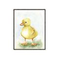 Picture of Farm Duck _GroupedProduct_Rectangle_Portrait_Mini_ _GroupedProduct_Rectangle_Portrait_Canvas_Framed_