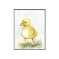 Picture of Farm Duck _GroupedProduct_Rectangle_Portrait_Mini_ _GroupedProduct_Rectangle_Portrait_Canvas_Framed_