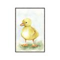 Picture of Farm Duck _GroupedProduct_Rectangle_Portrait_Mini_ _GroupedProduct_Rectangle_Portrait_Canvas_Framed_