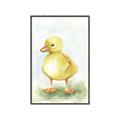 Picture of Farm Duck _GroupedProduct_Rectangle_Portrait_Mini_ _GroupedProduct_Rectangle_Portrait_Canvas_Framed_