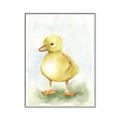 Picture of Farm Duck _GroupedProduct_Rectangle_Portrait_Mini_ _GroupedProduct_Rectangle_Portrait_Canvas_Framed_