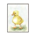 Picture of Farm Duck _GroupedProduct_Rectangle_Portrait_Mini_ _GroupedProduct_Rectangle_Portrait_Canvas_Framed_