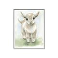 Picture of Farm Lamb _GroupedProduct_Rectangle_Portrait_Mini_ _GroupedProduct_Rectangle_Portrait_Canvas_Framed_