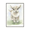 Picture of Farm Lamb _GroupedProduct_Rectangle_Portrait_Mini_ _GroupedProduct_Rectangle_Portrait_Canvas_Framed_