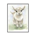 Picture of Farm Lamb _GroupedProduct_Rectangle_Portrait_Mini_ _GroupedProduct_Rectangle_Portrait_Canvas_Framed_