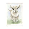 Picture of Farm Lamb _GroupedProduct_Rectangle_Portrait_Mini_ _GroupedProduct_Rectangle_Portrait_Canvas_Framed_