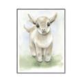 Picture of Farm Lamb _GroupedProduct_Rectangle_Portrait_Mini_ _GroupedProduct_Rectangle_Portrait_Canvas_Framed_