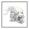 Picture of Safari Squad II _GroupedProduct_Square_Mini_ _GroupedProduct_Square_Canvas_Framed_