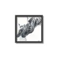 Picture of Mom and baby Zebra _GroupedProduct_Square_Mini_ _GroupedProduct_Square_Canvas_Framed_