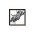 Picture of Mom and baby Zebra _GroupedProduct_Square_Mini_ _GroupedProduct_Square_Canvas_Framed_