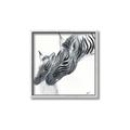 Picture of Mom and baby Zebra _GroupedProduct_Square_Mini_ _GroupedProduct_Square_Canvas_Framed_