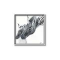 Picture of Mom and baby Zebra _GroupedProduct_Square_Mini_ _GroupedProduct_Square_Canvas_Framed_