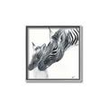 Picture of Mom and baby Zebra _GroupedProduct_Square_Mini_ _GroupedProduct_Square_Canvas_Framed_