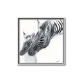 Picture of Mom and baby Zebra _GroupedProduct_Square_Mini_ _GroupedProduct_Square_Canvas_Framed_