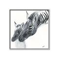 Picture of Mom and baby Zebra _GroupedProduct_Square_Mini_ _GroupedProduct_Square_Canvas_Framed_