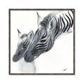Picture of Mom and baby Zebra _GroupedProduct_Square_Mini_ _GroupedProduct_Square_Canvas_Framed_