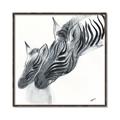 Picture of Mom and baby Zebra _GroupedProduct_Square_Mini_ _GroupedProduct_Square_Canvas_Framed_