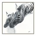 Picture of Mom and baby Zebra _GroupedProduct_Square_Mini_ _GroupedProduct_Square_Canvas_Framed_
