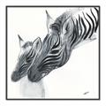 Picture of Mom and baby Zebra _GroupedProduct_Square_Mini_ _GroupedProduct_Square_Canvas_Framed_
