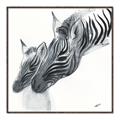 Picture of Mom and baby Zebra _GroupedProduct_Square_Mini_ _GroupedProduct_Square_Canvas_Framed_