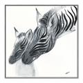 Picture of Mom and baby Zebra _GroupedProduct_Square_Mini_ _GroupedProduct_Square_Canvas_Framed_