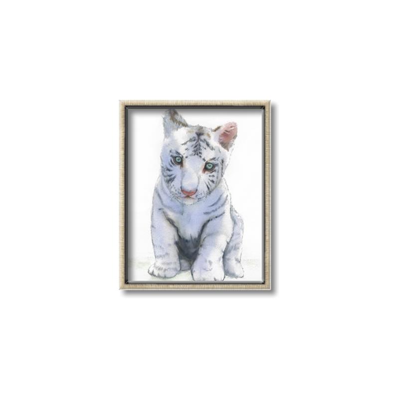 Picture of White Tiger Cub _GroupedProduct_Rectangle_Portrait_Mini_ _GroupedProduct_Rectangle_Portrait_Canvas_Framed_