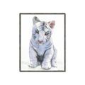 Picture of White Tiger Cub _GroupedProduct_Rectangle_Portrait_Mini_ _GroupedProduct_Rectangle_Portrait_Canvas_Framed_