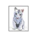 Picture of White Tiger Cub _GroupedProduct_Rectangle_Portrait_Mini_ _GroupedProduct_Rectangle_Portrait_Canvas_Framed_
