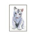 Picture of White Tiger Cub _GroupedProduct_Rectangle_Portrait_Mini_ _GroupedProduct_Rectangle_Portrait_Canvas_Framed_