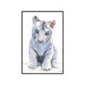 Picture of White Tiger Cub _GroupedProduct_Rectangle_Portrait_Mini_ _GroupedProduct_Rectangle_Portrait_Canvas_Framed_